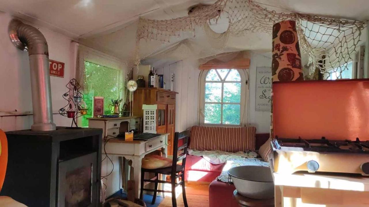 Trailer - Dschungel Kups