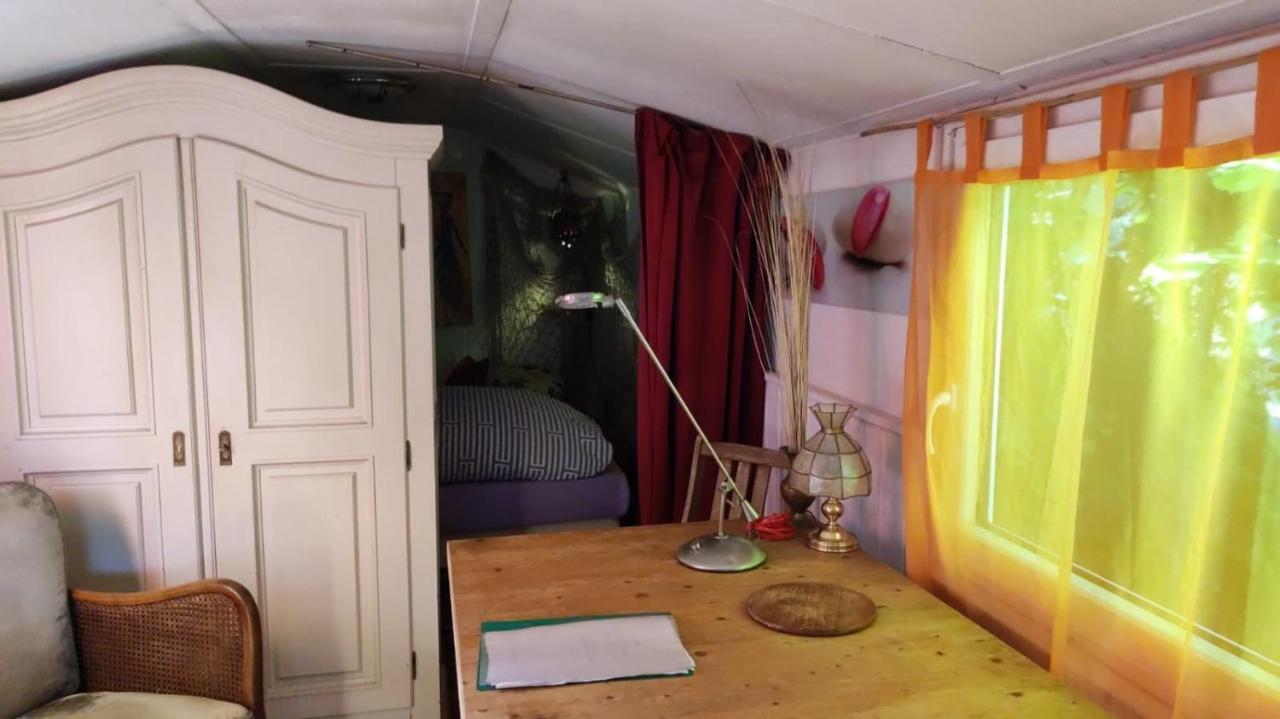 Trailer - Dschungel Kups